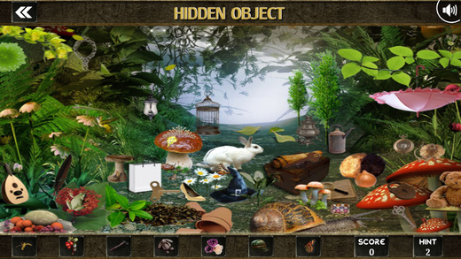 免費下載遊戲APP|Mystery of Secret Hidden Objects app開箱文|APP開箱王