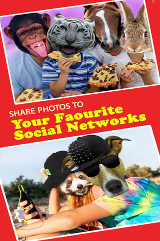 Funny Animal Faces Stock - Picture Resizer With Famous Animals Heads & Face Masks,Free screenshot 2