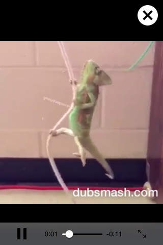 DubsVid - The best Dubsmash videos screenshot 3