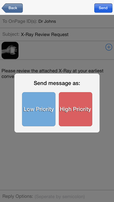 iPhone Screenshot 4