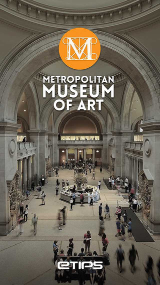 Metropolitan Museum of Art Visitor Guide
