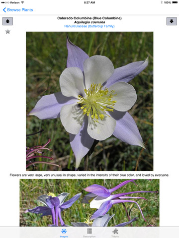 【免費書籍App】Colorado Rocky Mountain Wildflowers and Other Plants-APP點子