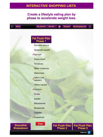 免費下載健康APP|Fat Flush Diet Plan & Meal Tracker Program: Menus, Diary, Recipes & the Smoothie Shakedown Detox Diet for Weight Loss & Health app開箱文|APP開箱王