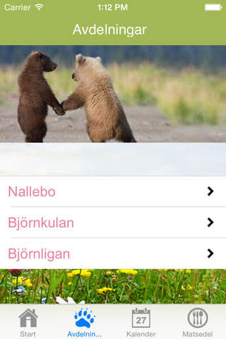 Björntjänst screenshot 2