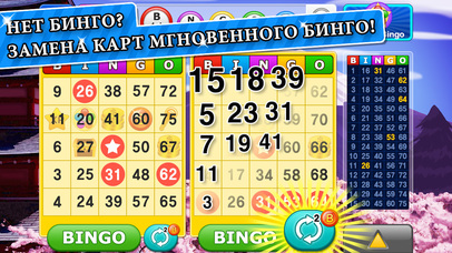Screenshot 3 Бинго Мания!