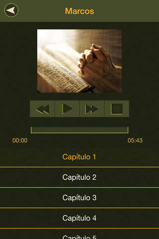 La Santa Biblia con audio screenshot 4