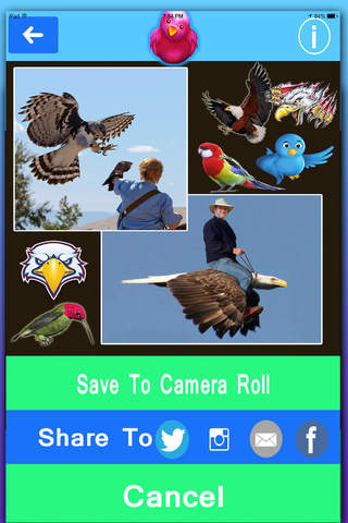 Bird Prank Photo Booth- Make Me Birdman with Cool Stickers screenshot 4