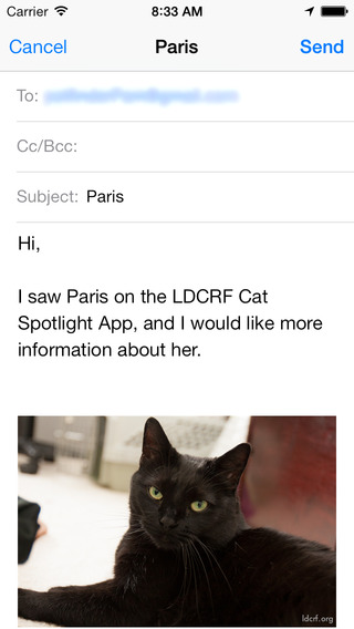 【免費生活App】LDCRF Cat Spotlight-APP點子