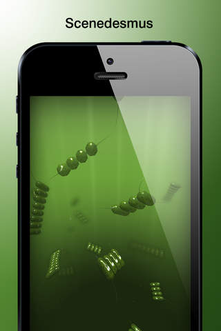 PhytoPlankton screenshot 4