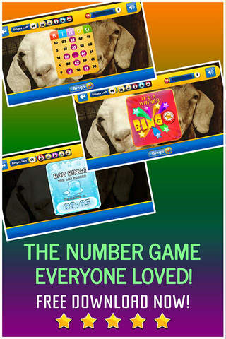 Bingo PRO - Play Online Casino and Number Card Game for FREE ! - Zoolander Edition screenshot 4