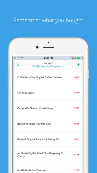 【免費生產應用App】Flesy - Shopping lists & expenditure control-APP點子