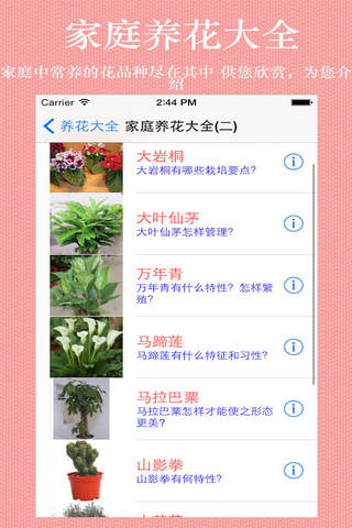 养花大全 screenshot 4