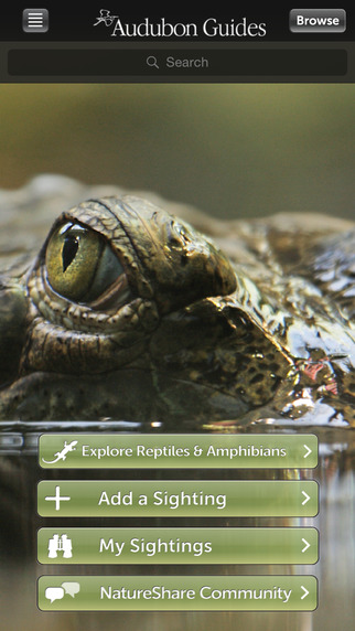 Audubon Reptiles and Amphibians – A Field Guide to North American Reptiles and Amphibians