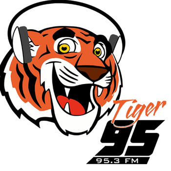 Tiger95 App LOGO-APP點子