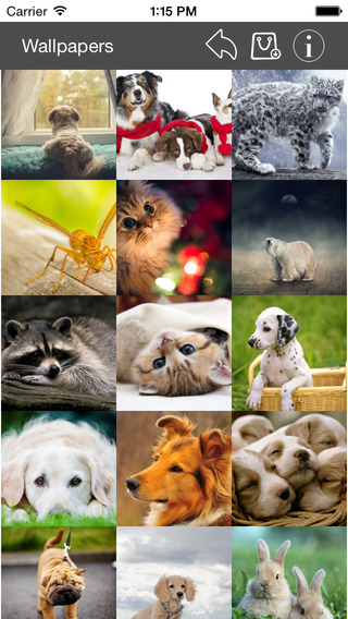 免費下載娛樂APP|Wallpaper Collection Animals Edition app開箱文|APP開箱王
