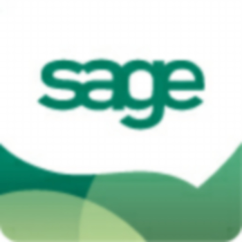 Sage Construction LOGO-APP點子