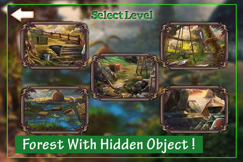 Hidden Object - Into The Forest Mysteries screenshot 2