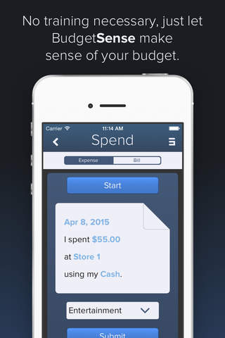 Budget Sense screenshot 3