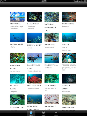 免費下載旅遊APP|maldivesnew app開箱文|APP開箱王