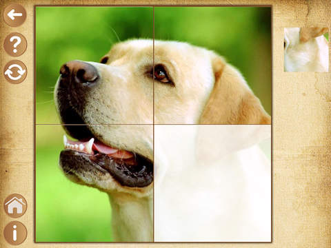Скриншот из Dogs Photo Photo jigsaw Puzzle Games for preschool kids boys and girls age 3 + HD Lite Free