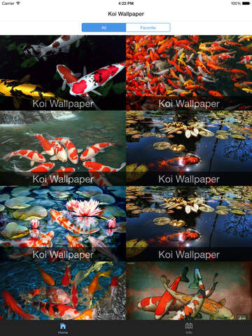 免費下載娛樂APP|Koi Wallpaper app開箱文|APP開箱王