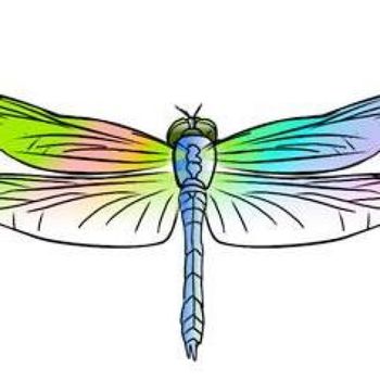 Dragonfly Pediatric OT LOGO-APP點子