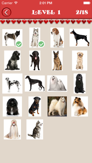 免費下載遊戲APP|Guess Dog Quiz - Dog Breeds app開箱文|APP開箱王