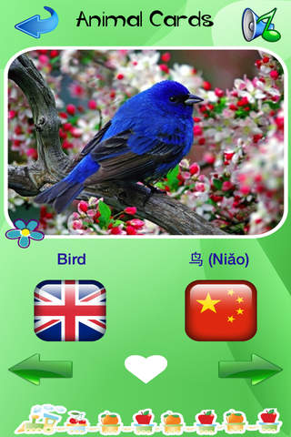 Chinese - English Voice Flash Cards Of Animals And Tools For Small Children screenshot 3