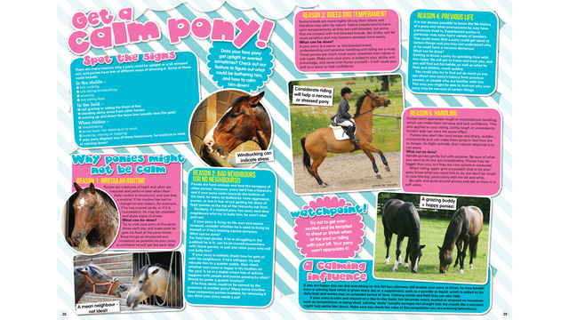 免費下載生活APP|PONY Magazine – for young riders who love horses and ponies app開箱文|APP開箱王