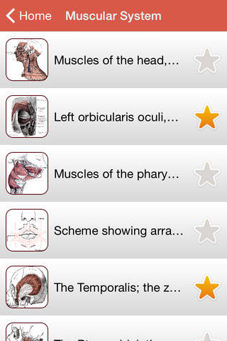 Gray Anatomy Application 2015 screenshot 2