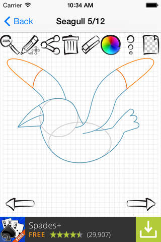Learn To Draw : Birds screenshot 3