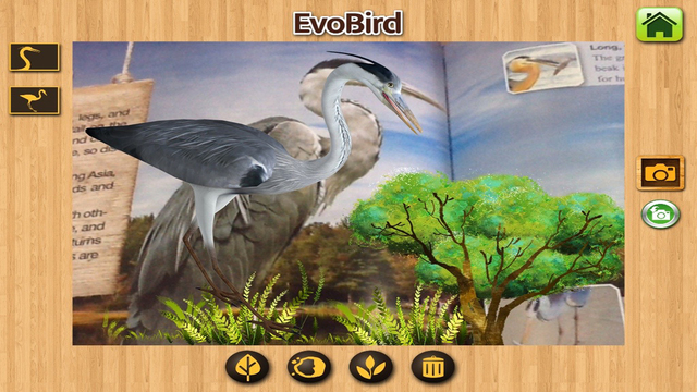 免費下載書籍APP|EVO BIRD - Augmented Reality app開箱文|APP開箱王