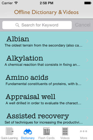Petro and Chemistry Dictionary: Best Flashcard with Video Lessons and Cheatsheets screenshot 3
