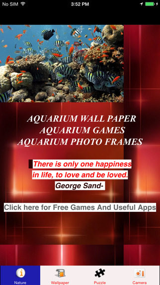 Aquarium Wallpaper Fish Tank Frame