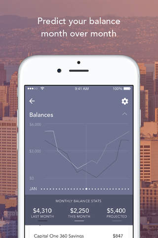 Level Money: Spend Confidently and Achieve Balance screenshot 4