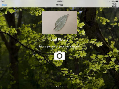 【免費教育App】Tree Seeker-APP點子