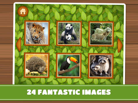 免費下載遊戲APP|Forest & Jungle Animals Puzzles – Logic Game for Toddlers, Preschool Kids, Little Boys and Girls: Vol.2 Free app開箱文|APP開箱王