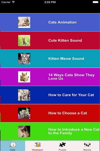 Cats Wallpaper Kitten Wallpapers, Cats Puzzle & Cats Info screenshot 2