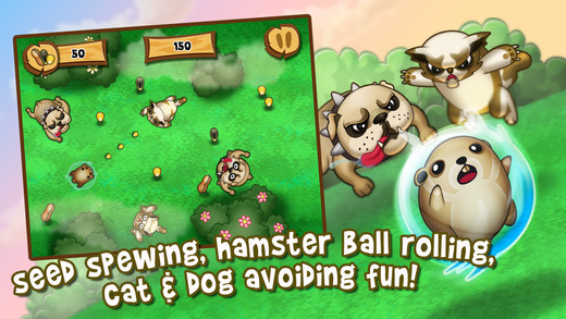 Hamster Rolling Game: Tiny Pet Ball
