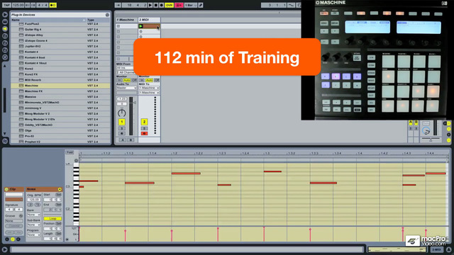 【免費音樂App】Course For NI Maschine Masterclass-APP點子