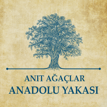 Anıt Ağaçlar - Anadolu LOGO-APP點子