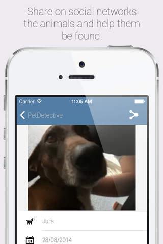 PetDetective screenshot 3