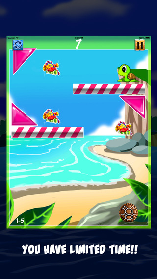 【免費遊戲App】Crazy Turtle - Feed Yummy Candy-APP點子