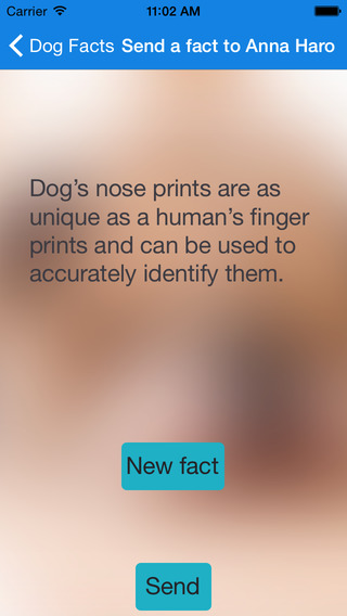 【免費娛樂App】Dog Fact Messenger-APP點子