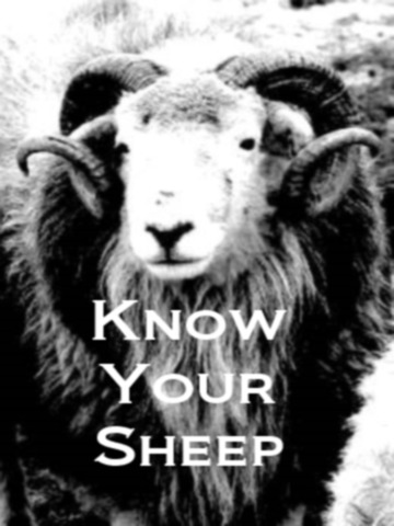 免費下載書籍APP|Know Your Sheep app開箱文|APP開箱王