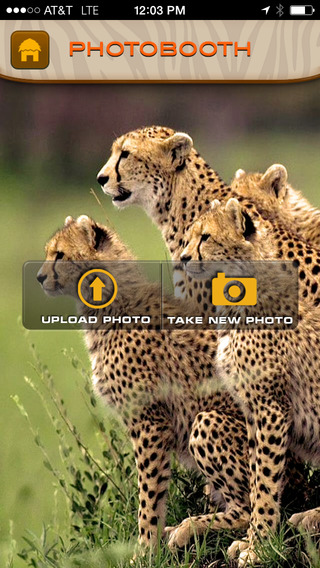 免費下載娛樂APP|Out of Africa Park & Safari app開箱文|APP開箱王