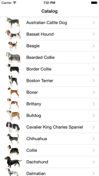Dog Catalog