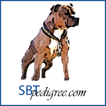 SBTpedigree LOGO-APP點子