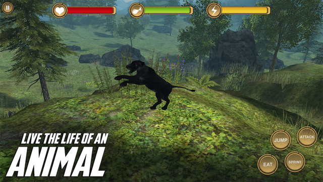 Jaguar Simulator HD Animal Life