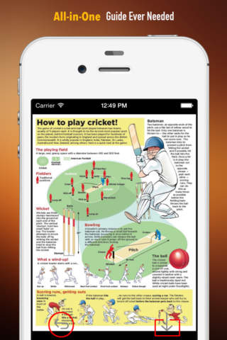 Cricket 101: Quick Learning Reference with Video Lessons and Glossary screenshot 2